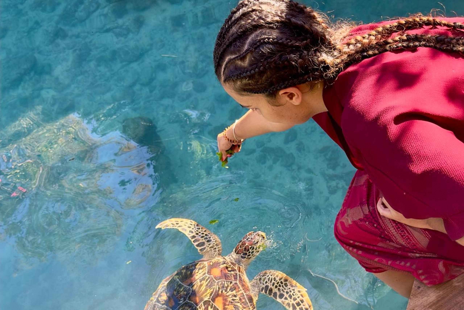 Zanzibar : nage avec les tortues marines à Kizimkazi et visite de la grotte de Salaam