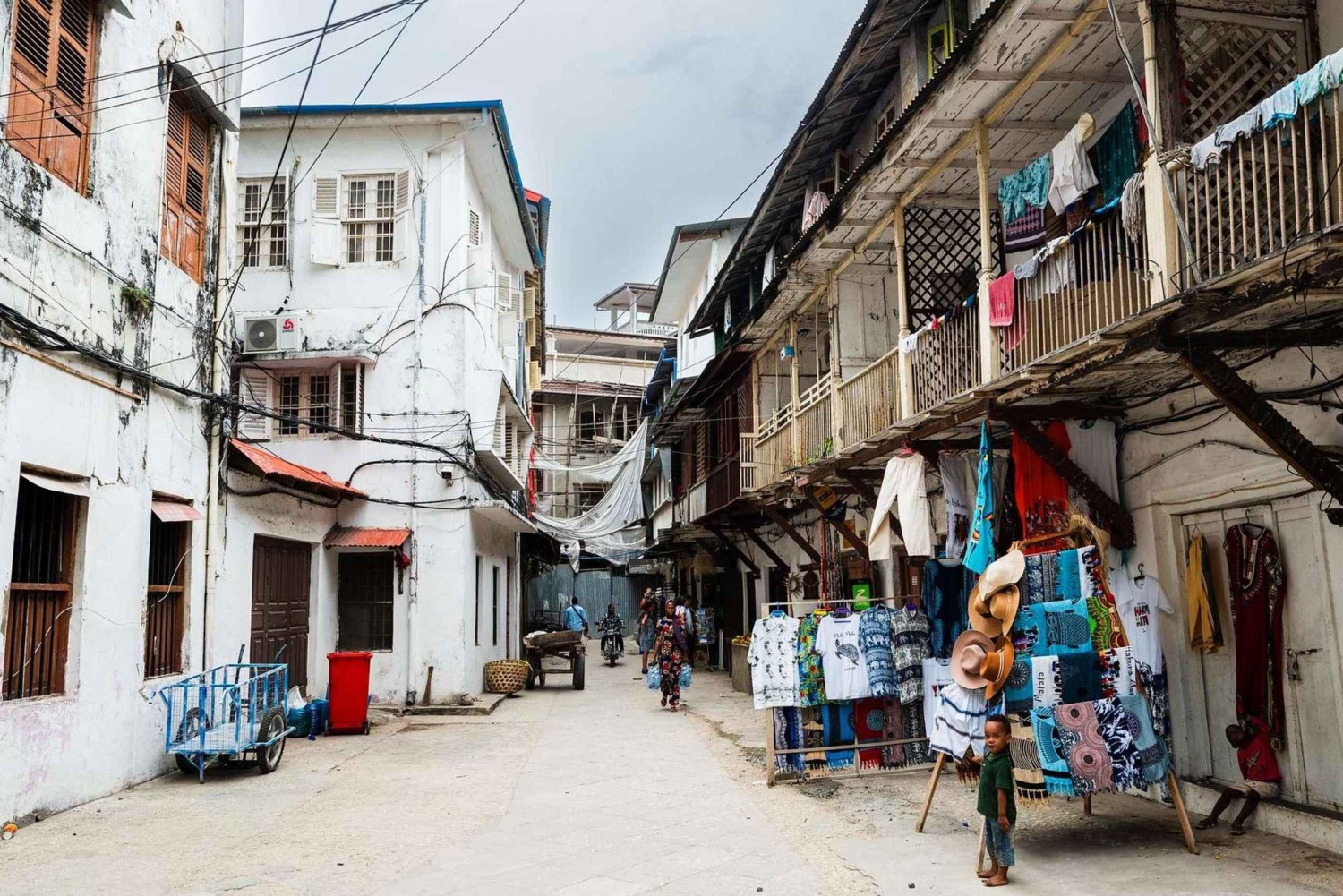 Zanzíbar: visita a un pueblo local y tour guiado a Stone Town