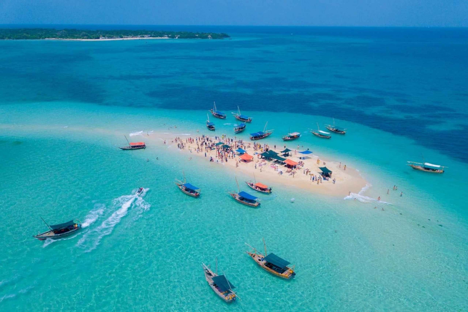 ザンジバル：サファリ・ブルー日帰りツアー（スノーケリングとランチ付き）