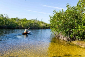 ZANZIBAR: Kajakeventyr i mangroven og autentisk landsbytur