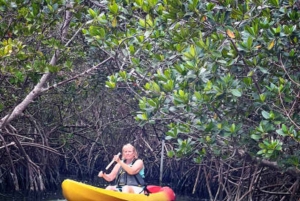 ZANZIBAR: Kajakeventyr i mangroven og autentisk landsbytur