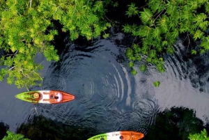 ZANZIBAR: Kajakeventyr i mangroven og autentisk landsbytur