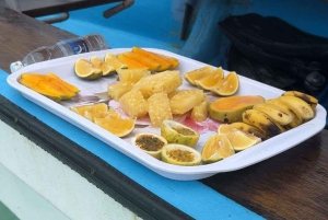 ZANZIBAR: Kajakeventyr i mangroven og autentisk landsbytur