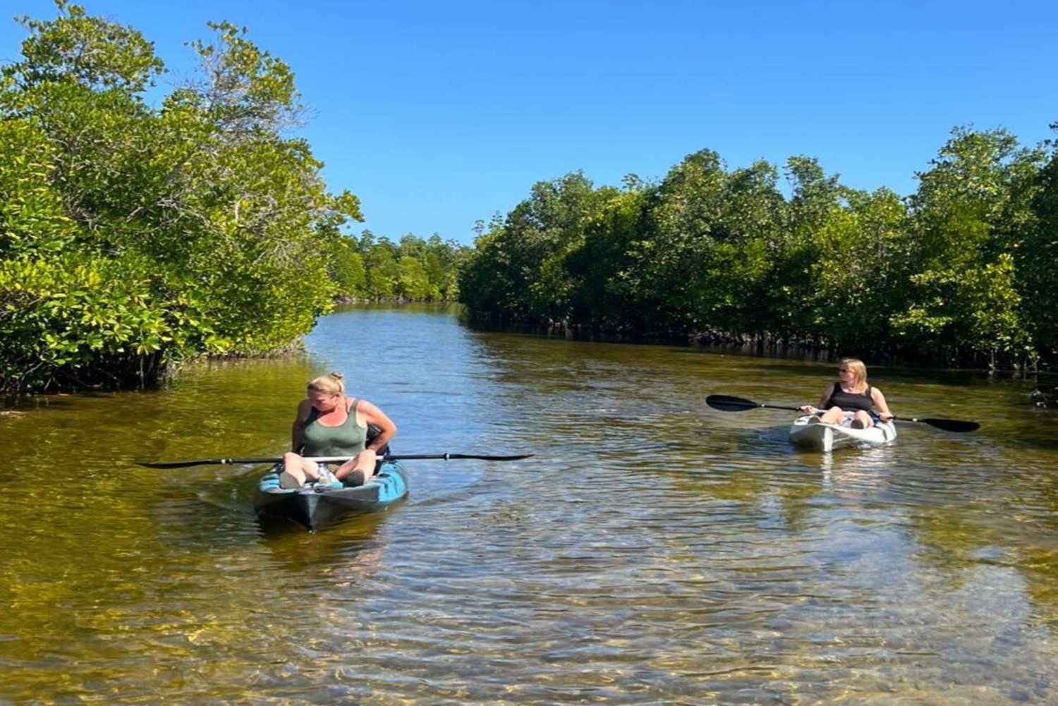 Zanzibar: Kajaktur i mangroven med snorkling og guide