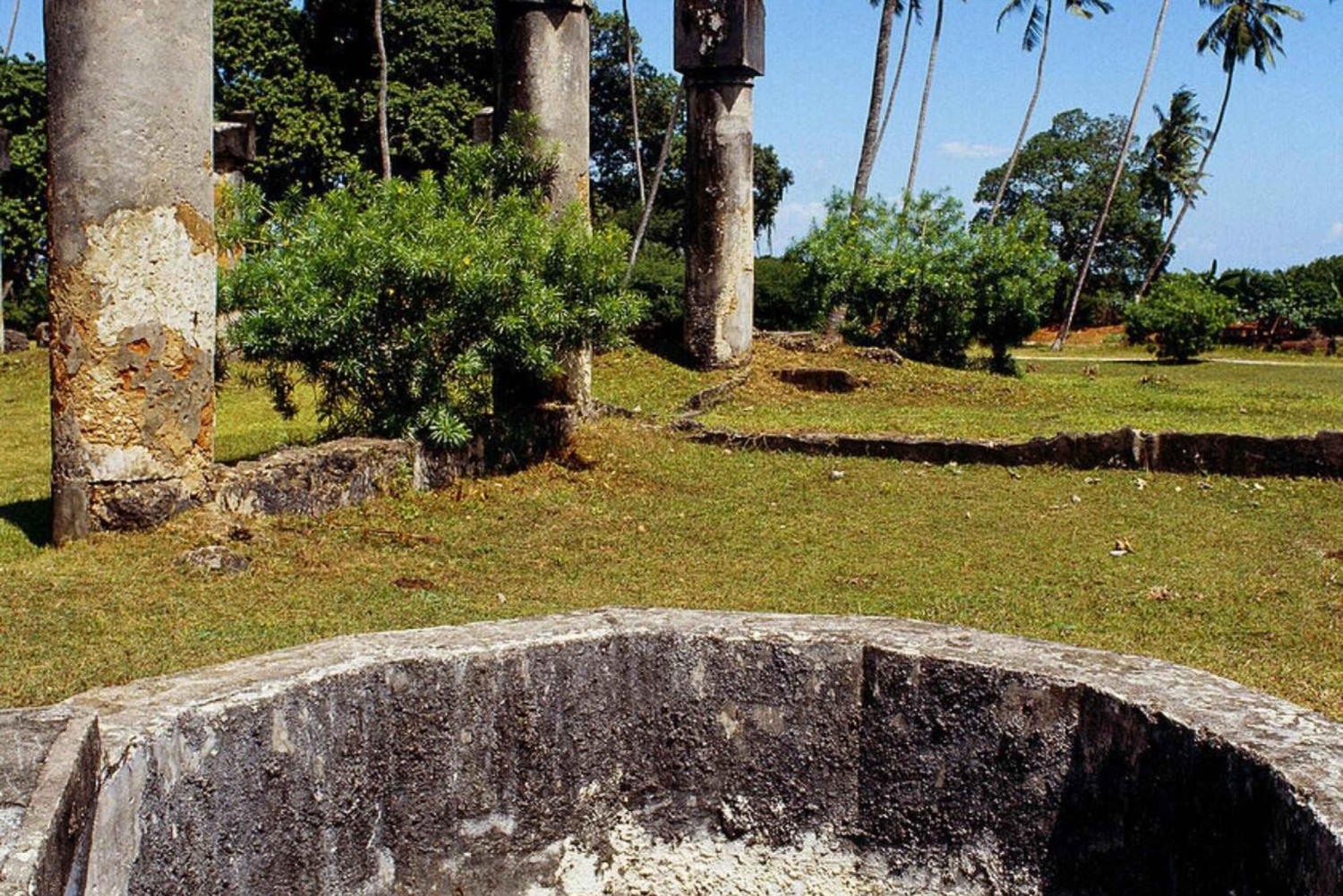 ザンジバル：監獄の島、ジョザニの森とムテンデビーチツアー