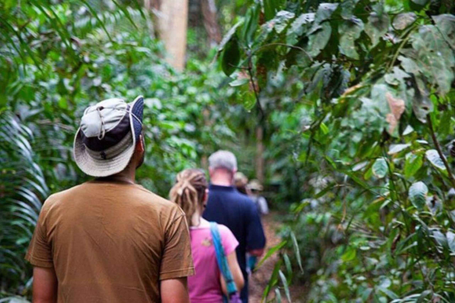Zanzibar: Guidet naturvandring i Masingini Forest Reserve