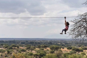 Zanzibar: Tur i Masingini Forest Reserve med zipline