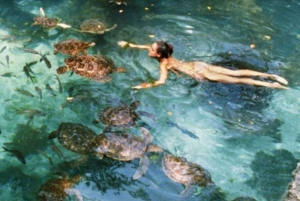 ザンジバル：ムネンバ環礁、ムナラニ水族館、そしてヌングウィビーチをご覧ください