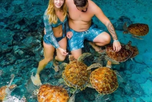 ザンジバル：ムネンバ環礁、ムナラニ水族館、そしてヌングウィビーチをご覧ください