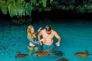 ザンジバル：ムネンバ環礁、ムナラニ水族館、そしてヌングウィビーチをご覧ください