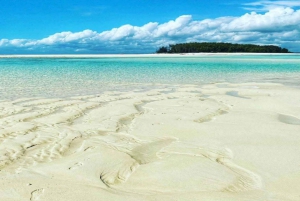 ザンジバル：ムネンバ環礁、ムナラニ水族館、そしてヌングウィビーチをご覧ください