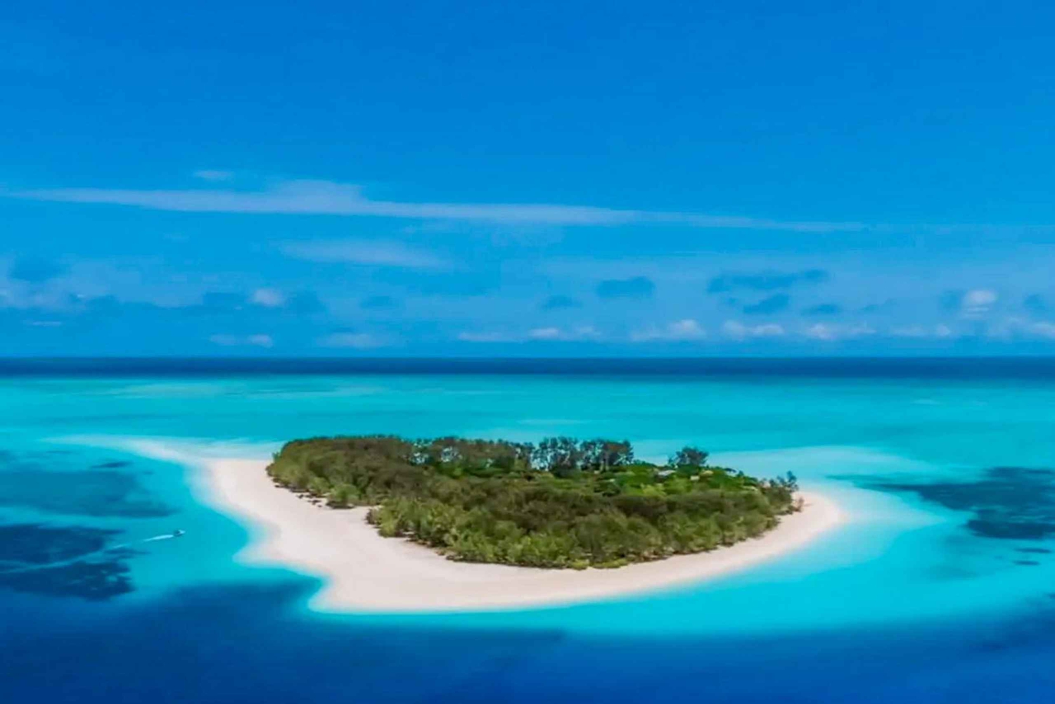 Zanzibar: Mnemba Blue Safari och delfinupplevelse