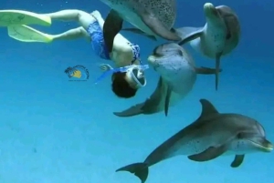 Zanzibar: Mnemba Dolphin Swim & Transparent Kayak with Drone