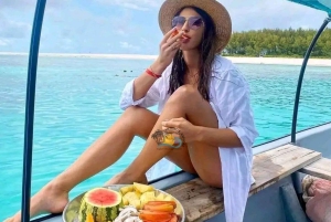 Zanzibar: Mnemba Dolphin Swim & Transparent Kayak with Drone