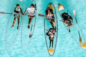 Zanzibar: Mnemba Dolphin Swim & Transparent Kayak with Drone