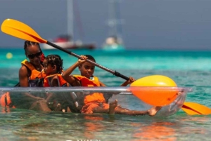Zanzibar: Mnemba Dolphin Swim & Transparent Kayak with Drone