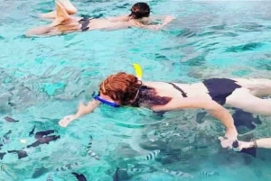 Zanzibar: Mnemba Dolphin Swim & Transparent Kayak with Drone