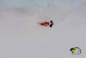 Zanzibar: Mnemba Dolphin Swim & Transparent Kayak with Drone