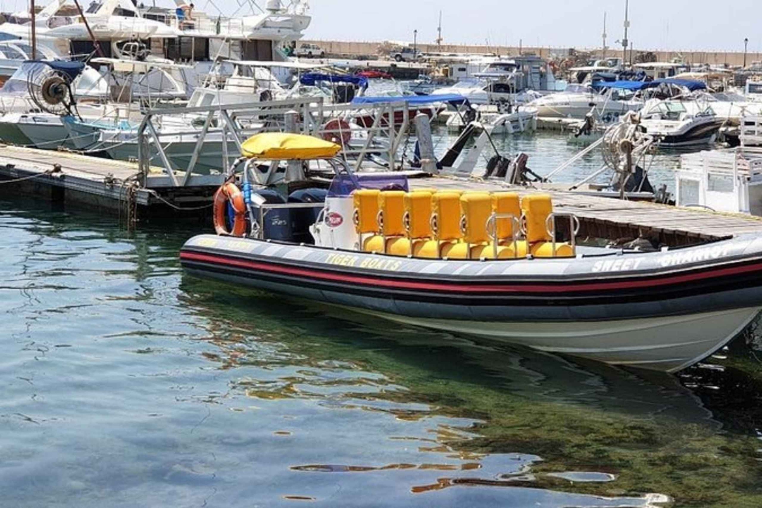 Sansibar: Mnemba-saari ja merikilpikonna, lounas saatavilla