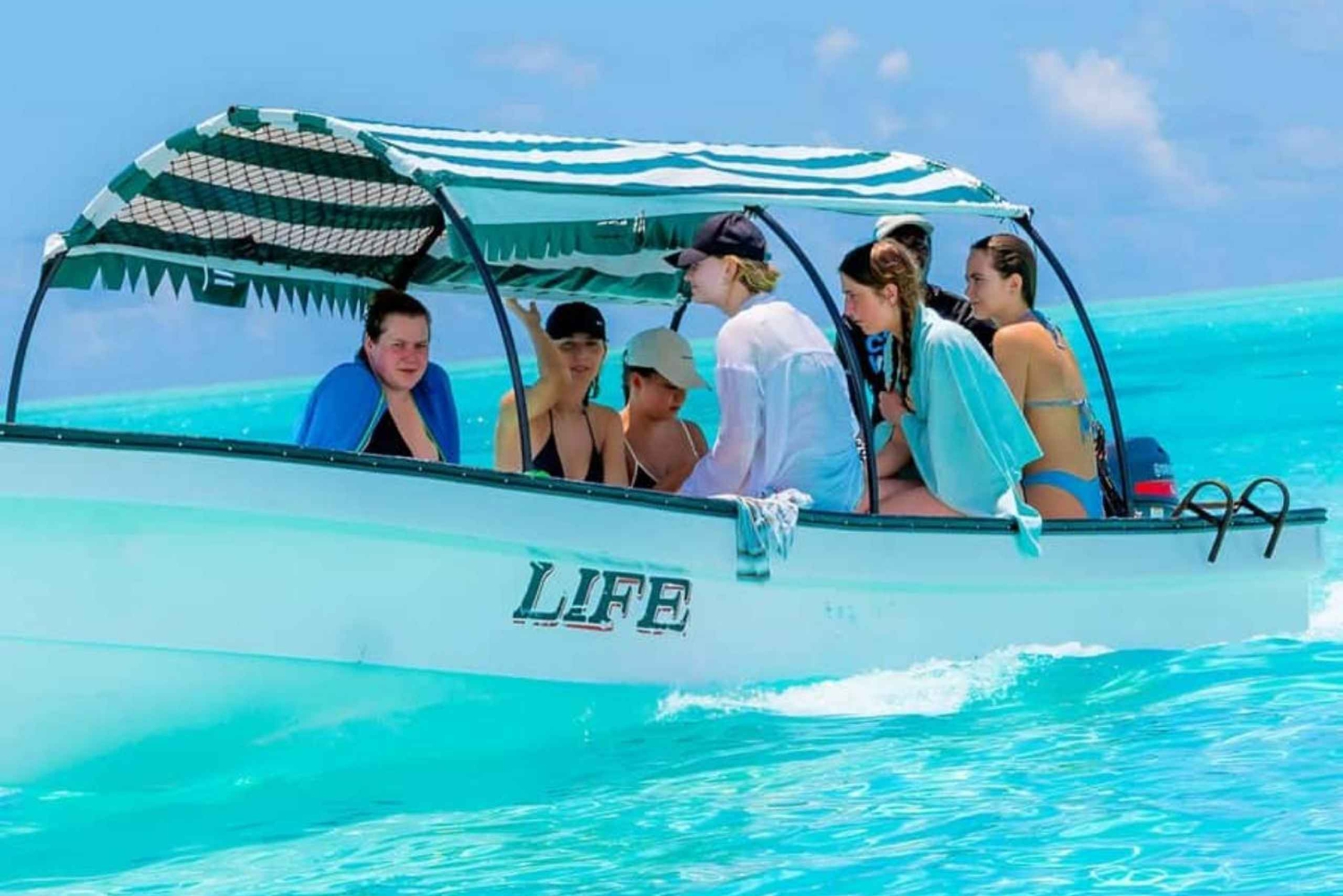 Sansibar: Mnemba-Insel, Jozani-Wald & Schmetterlingstour