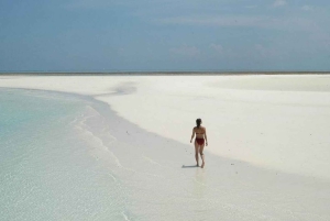 Zanzibar: dagtour naar Mnemba Island en Jozani Forest