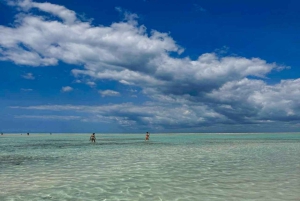 Zanzibar: dagtour naar Mnemba Island en Jozani Forest