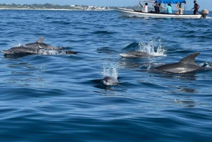 Zanzibar: dagtour naar Mnemba Island en Jozani Forest