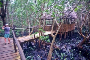 Zanzibar: dagtour naar Mnemba Island en Jozani Forest