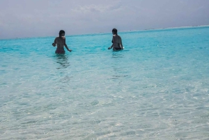 Zanzibar: dagtour naar Mnemba Island en Jozani Forest