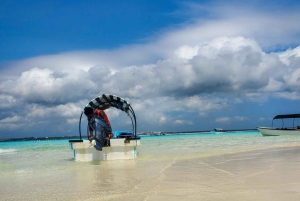 Zanzibar: dagtour naar Mnemba Island en Jozani Forest