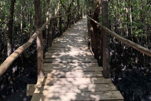 Zanzibar: dagtour naar Mnemba Island en Jozani Forest