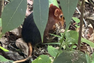 Zanzibar: dagtour naar Mnemba Island en Jozani Forest
