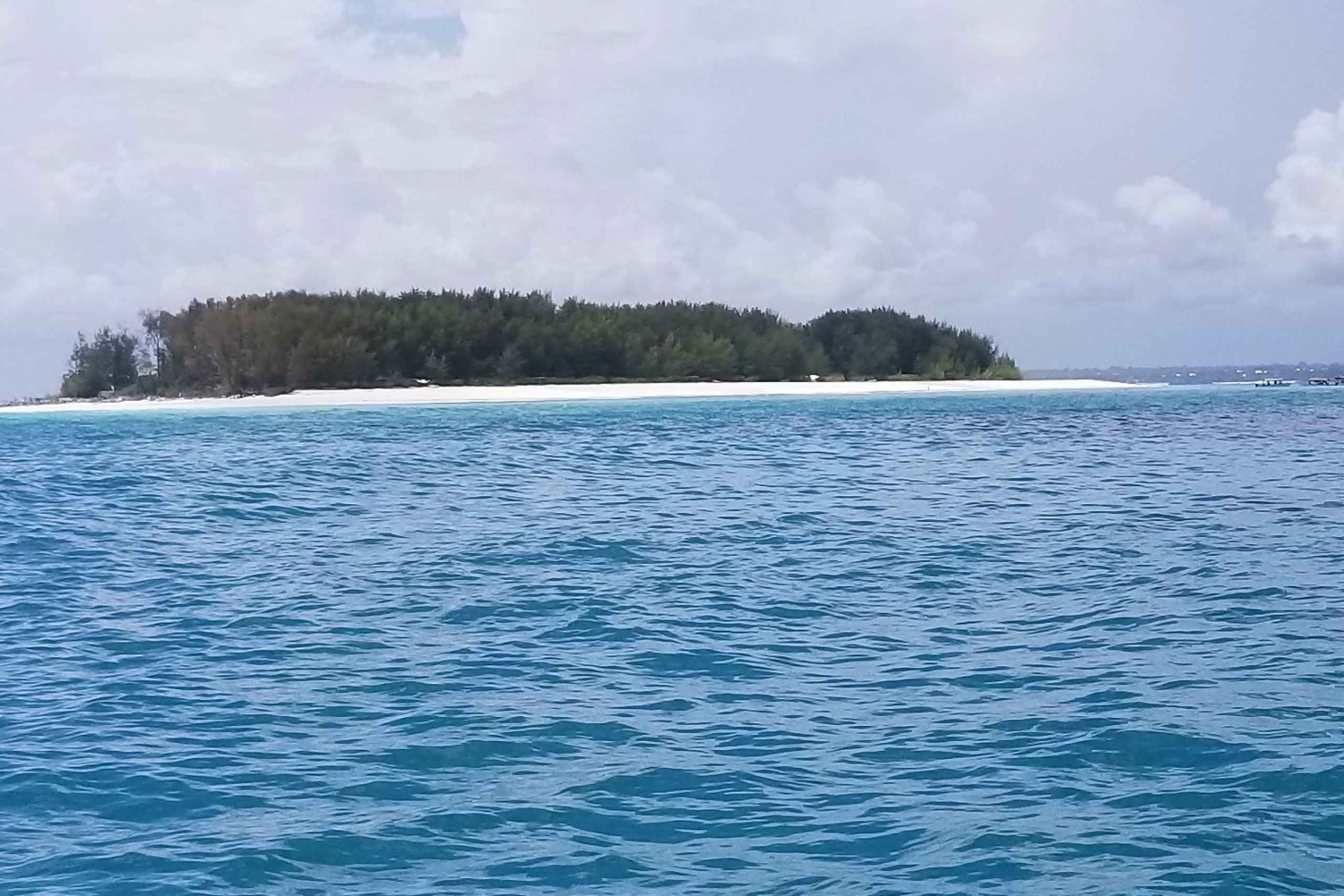 Sansibar: Mnemba Island Schnorcheln und Delphin Tour