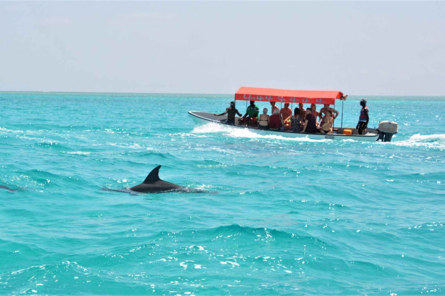 Zanzibar: Mnemba Island Snorkeling & Dolphin