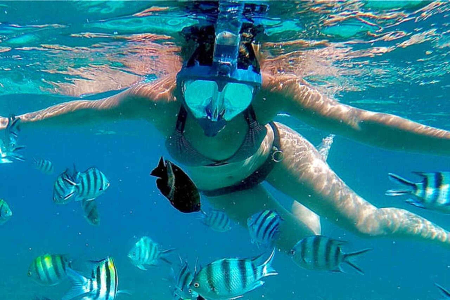 Zanzibar : excursion snorkeling et équitation sur l'île de Mnemba