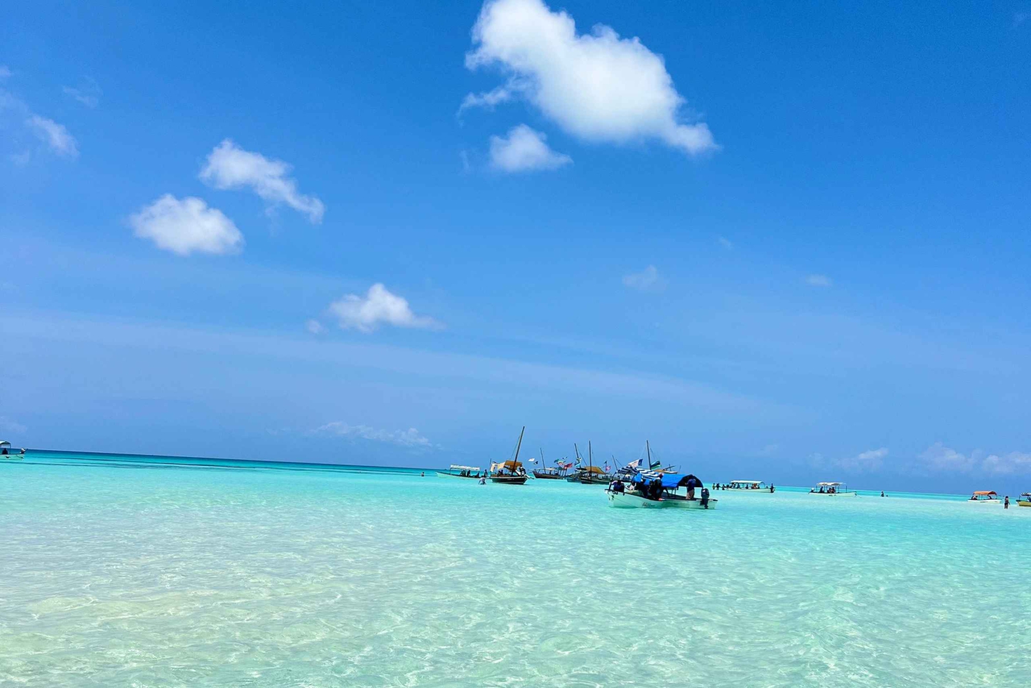 Zanzibar: tour di snorkeling all'isola di Mnemba