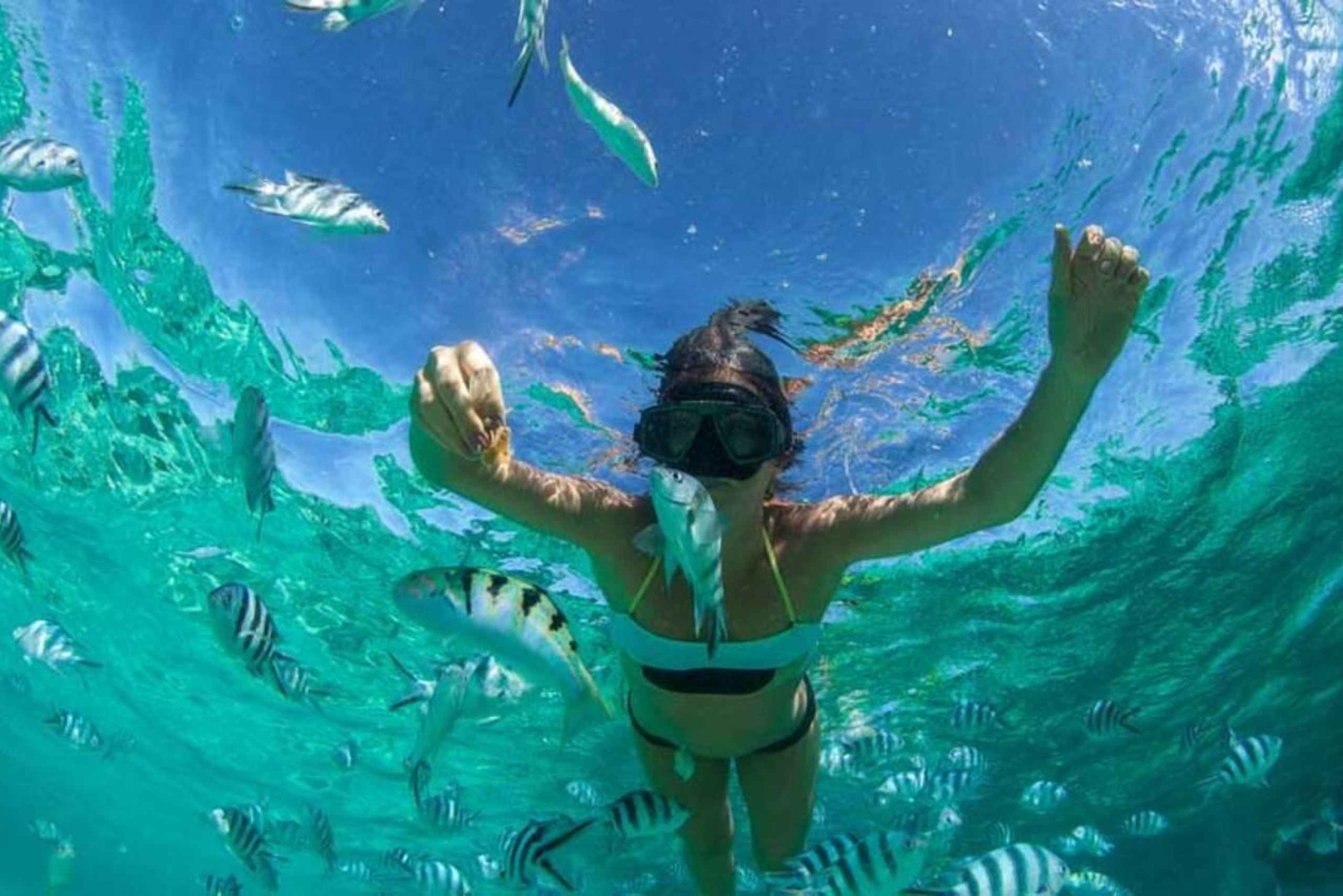 ZANZIBAR: Wyspa Mnemba, Stone Town i Prison Island