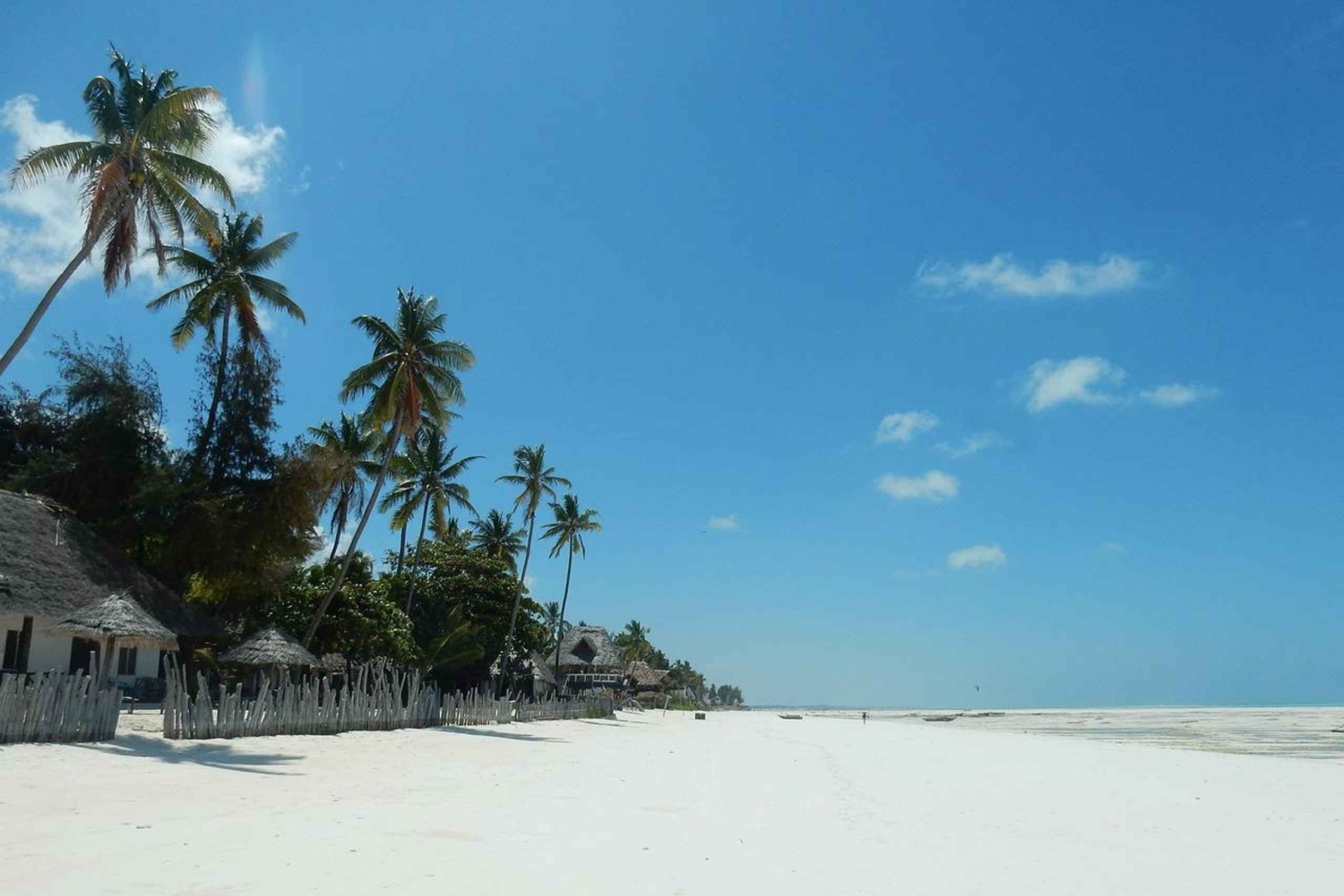 Sansibar - Mnemban saaren kiertoajelu ja Barakan akvaario - kilpikonnat