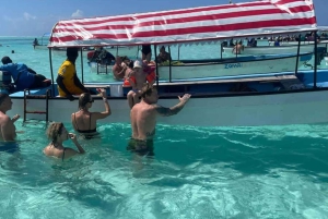 Zanzibar: Mnemba Island, sköldpaddsakvarium och Kendwa Beach