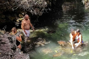 Zanzibar: Mnemba Island, sköldpaddsakvarium och Kendwa Beach