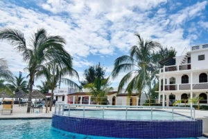 Zanzibar: Mnemba Island, sköldpaddsakvarium och Kendwa Beach