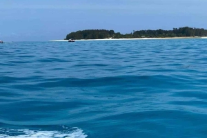 Zanzibar: Mnemba Island, sköldpaddsakvarium och Kendwa Beach