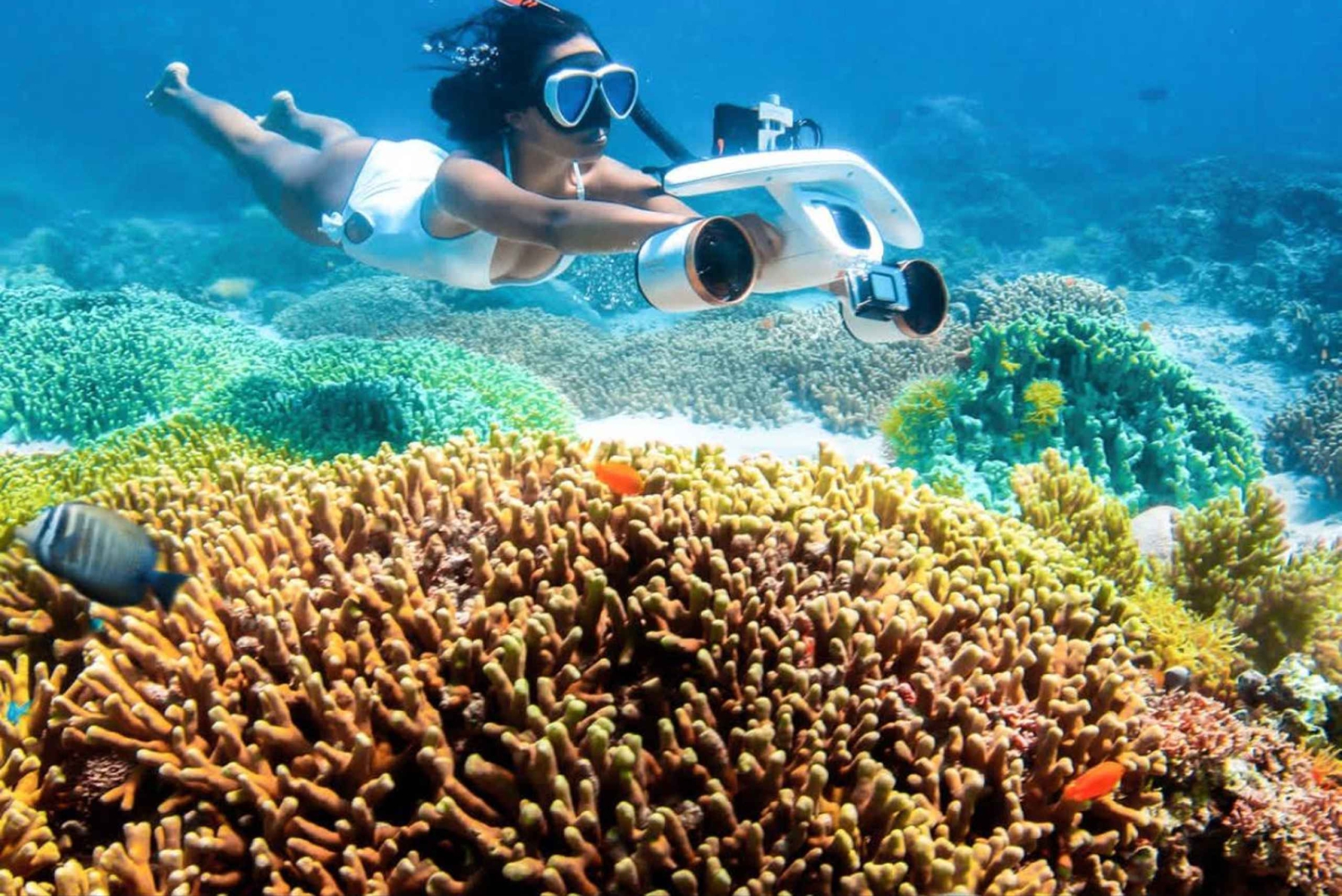 Zanzibar: Vattenskotertur till Mnemba eller Pungume Island