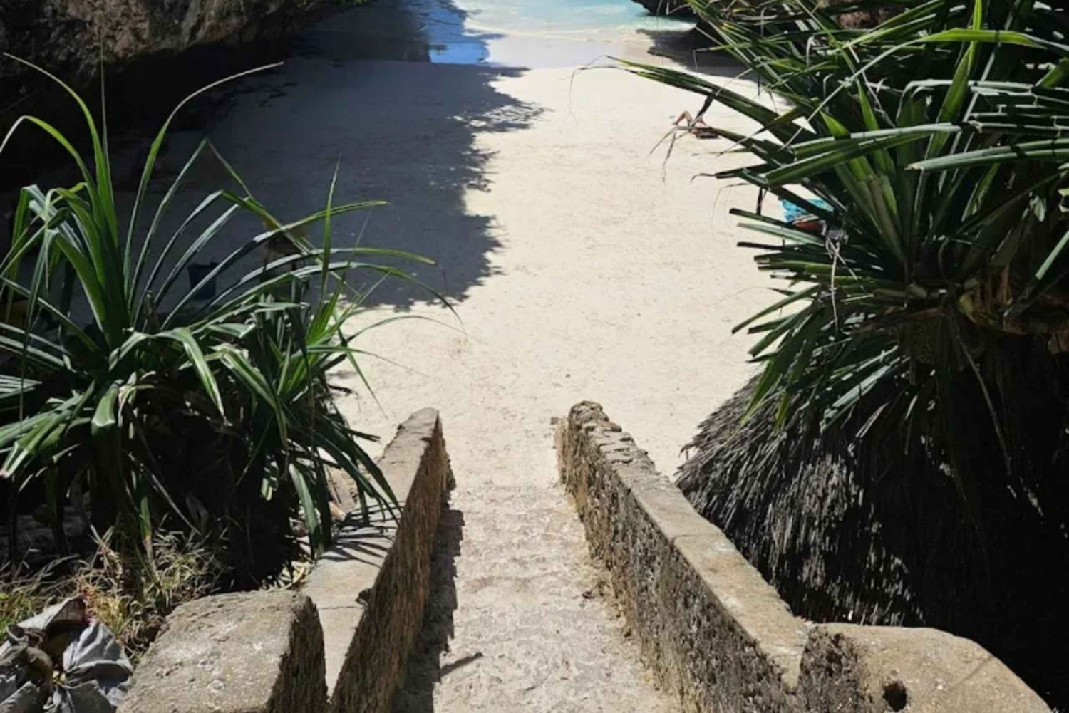 Zanzibar: Mtende Secret Beach, Kuza Cave og Jozani Forest Tour