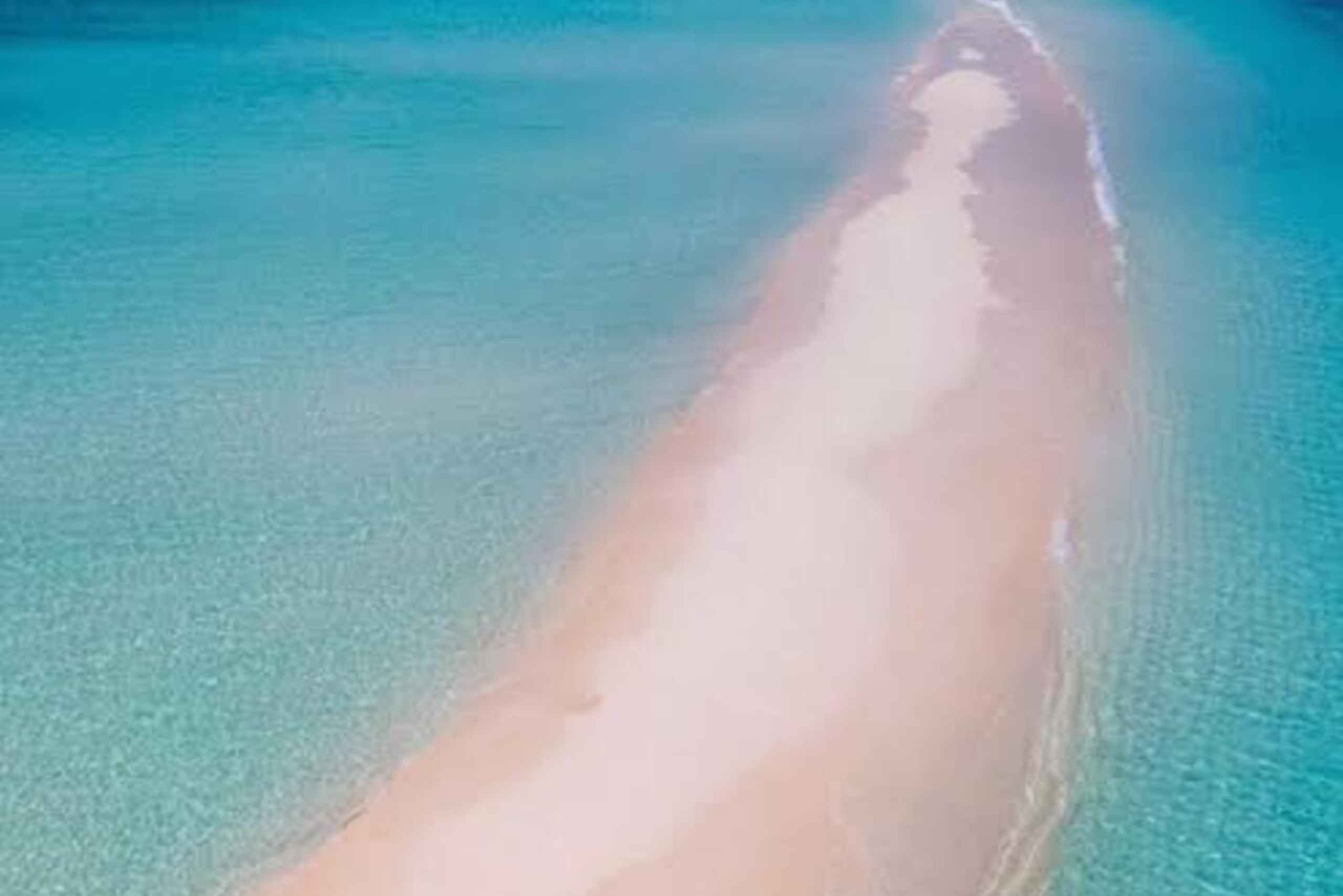 Zanzibar: Nakupenda Sandbank, Prison Island en Stone Town.