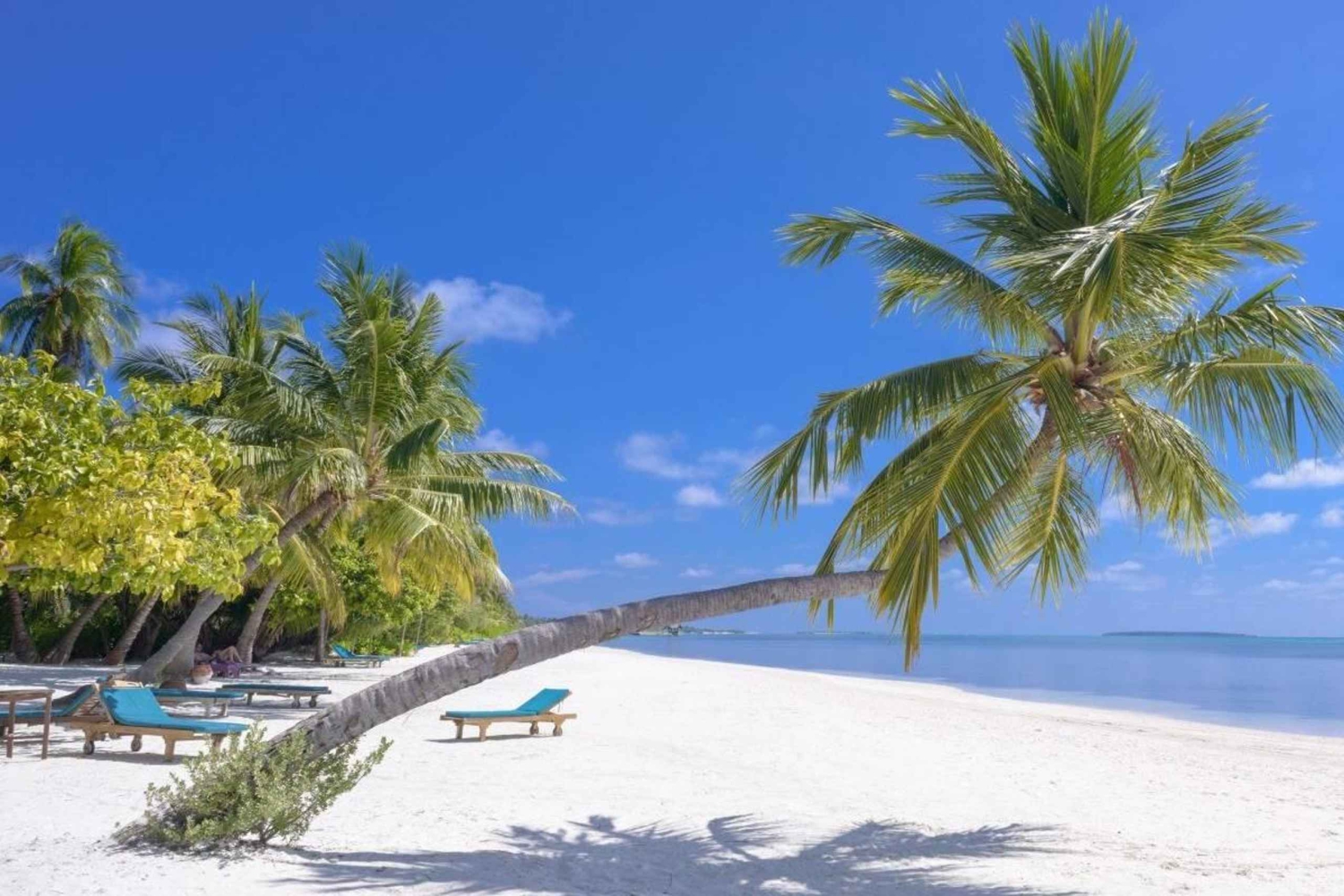 Zanzibar: Nungwi Horseback Ride and Sunset Dhow Cruise