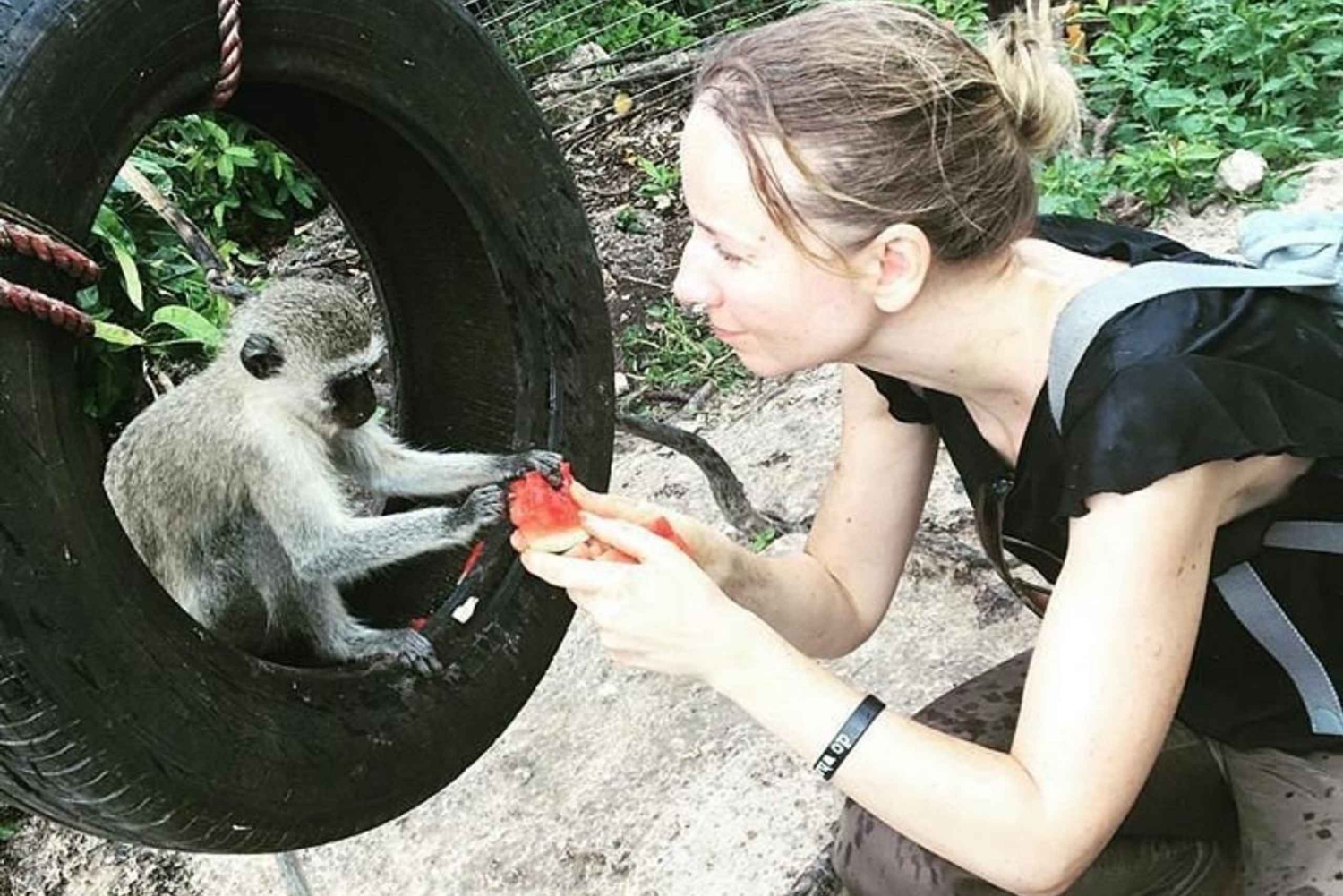 Zanzibar: Halvdagsutflykt till Nungwi Kilosa Conservation Zoo