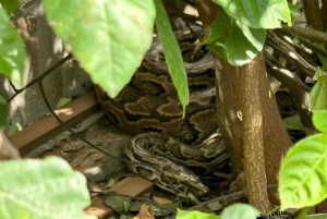 Zanzibar: Nungwi Kilosa Zoo & Transparent Kayak with Drone