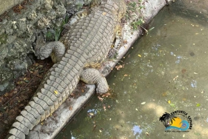 Zanzibar: Nungwi Kilosa Zoo & Transparent Kayak with Drone