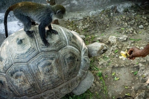 Zanzibar: Nungwi Kilosa Zoo & Transparent Kayak with Drone